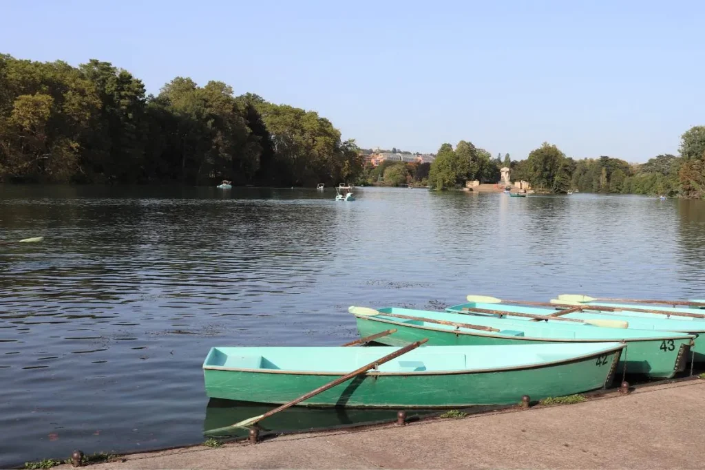 Municipales 2026 à Lyon. Jean-Michel Aulas propose de remplacer les animaux du zoo par des hologrammes